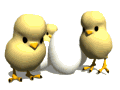 Gif de pollitos