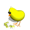 dibujo animado pollo