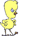 Animacion de pollo