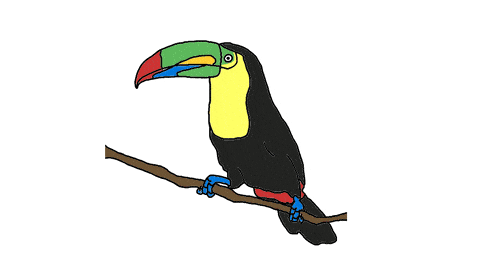 dibujo animado tucan