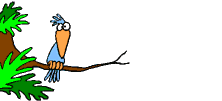 Gif de tucan