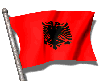 bandera animada