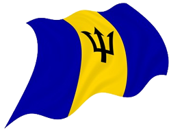 bandera animada