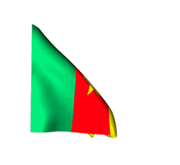 bandera Camerún