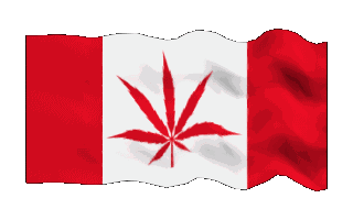 Gif de Canadá