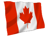 bandera animada