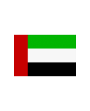 bandera animada