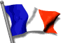 bandera animada