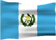 bandera animada
