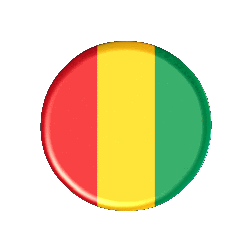 bandera Guinea
