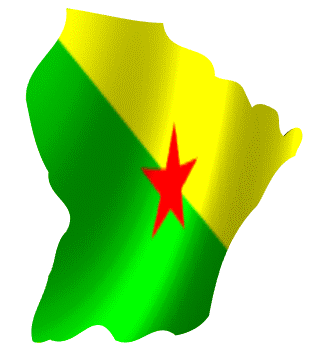 bandera animada