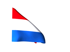 bandera animada