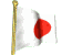 bandera animada