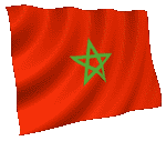 bandera animada