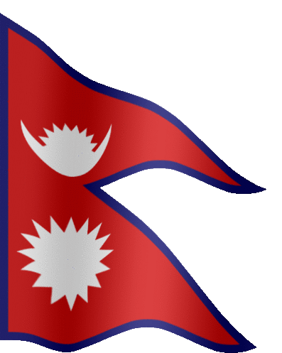 bandera animada
