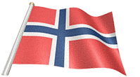 bandera animada