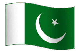 bandera animada