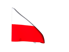 bandera animada