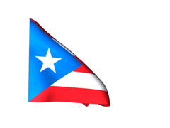 Bandera Puerto Rico