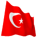 bandera animada