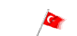 bandera animada