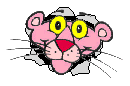 pantera rosa