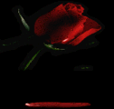 Calendarios Romanticos