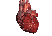 Gif corazon humano
