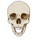 Gif de craneo humano