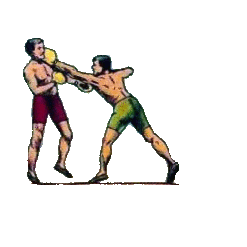 gif boxeo