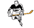 gif de hockey