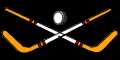 Gif hockey