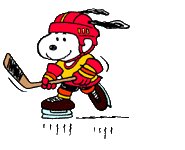 hockey
