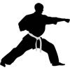 Gifs de Artes marciales