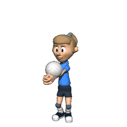 gif voley