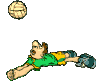 voleibol