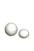 volleyball