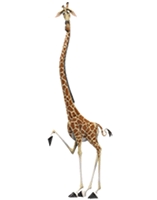 madagascar