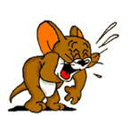 gif Jerry