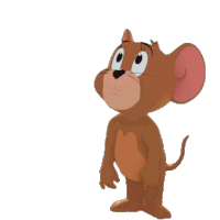 Gif tom y jerry