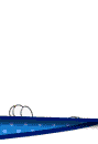 Gif de dalmata