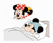 Mickey mouse y minnie