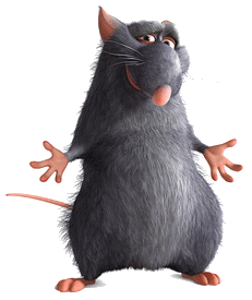 Remy Ratatouille
