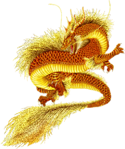 Gif de Dragón