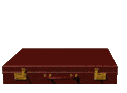 Gif de maletin