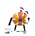 Flor