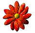 Flor