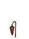 Flor Marchitada