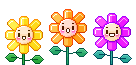Flores