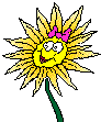 Girasol